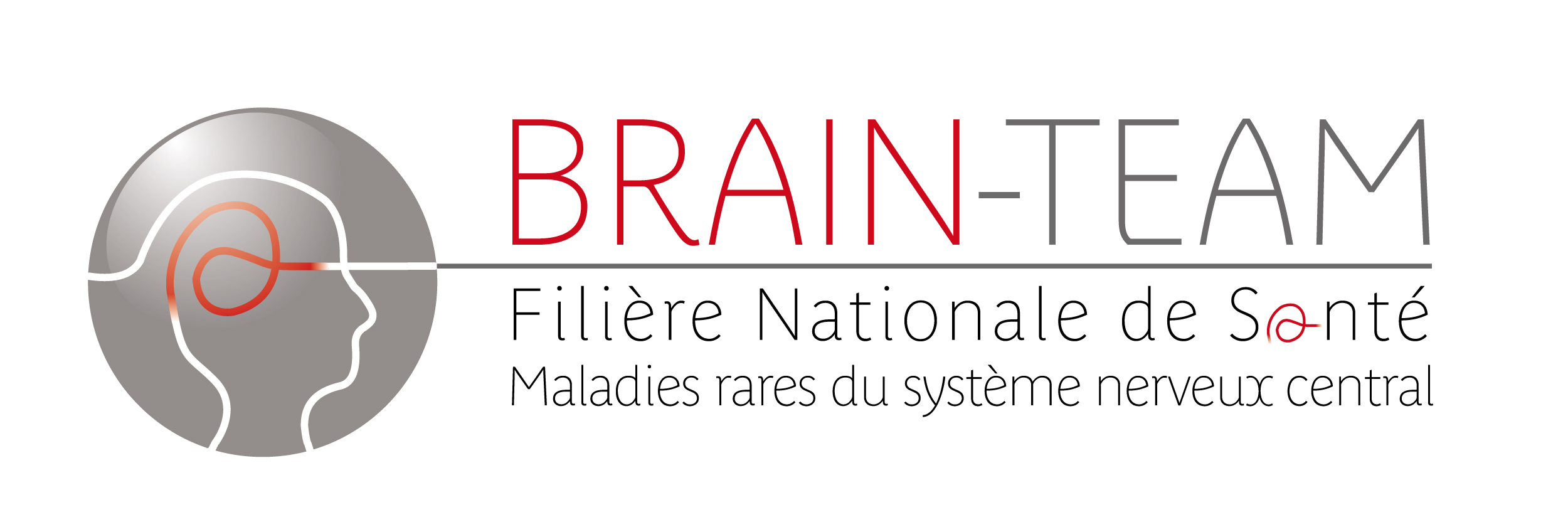 brain-team-logo